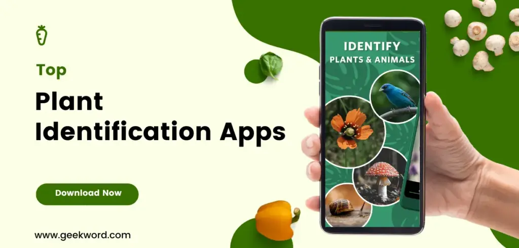 Best Plant Identification Apps